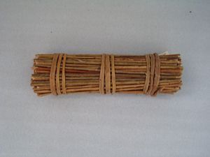Fascina Achillea profumata - Sconti per Fioristi e Aziende - Lungo cm. 40