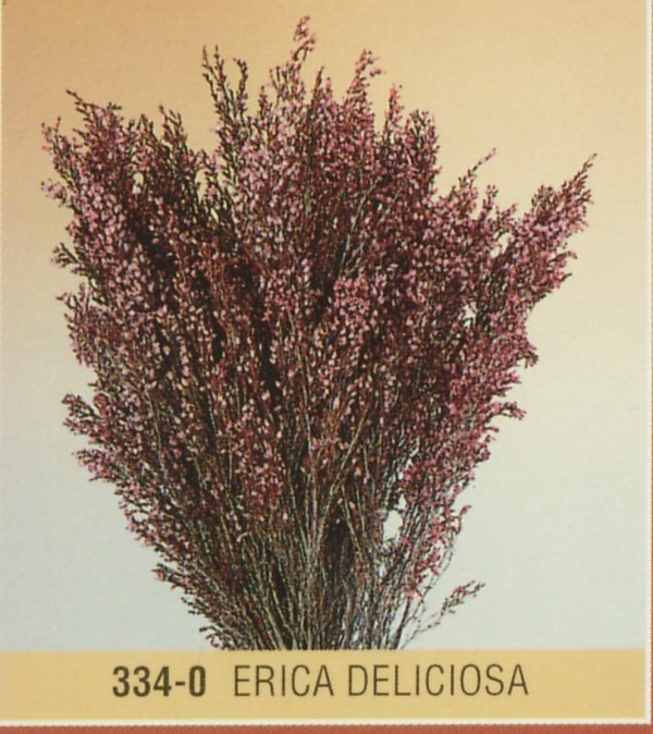 Erika Deliciosa Naturale stabilizzata Conf. gr.300 - Sconti per