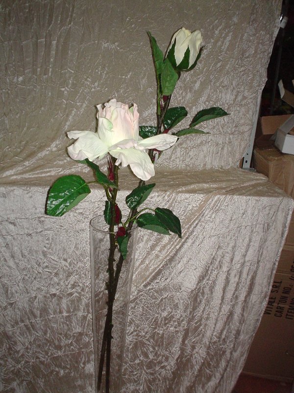 Rosa e Bocciolo Gigante H 130 - Sconti per Fioristi e Aziende . - in Micropeach