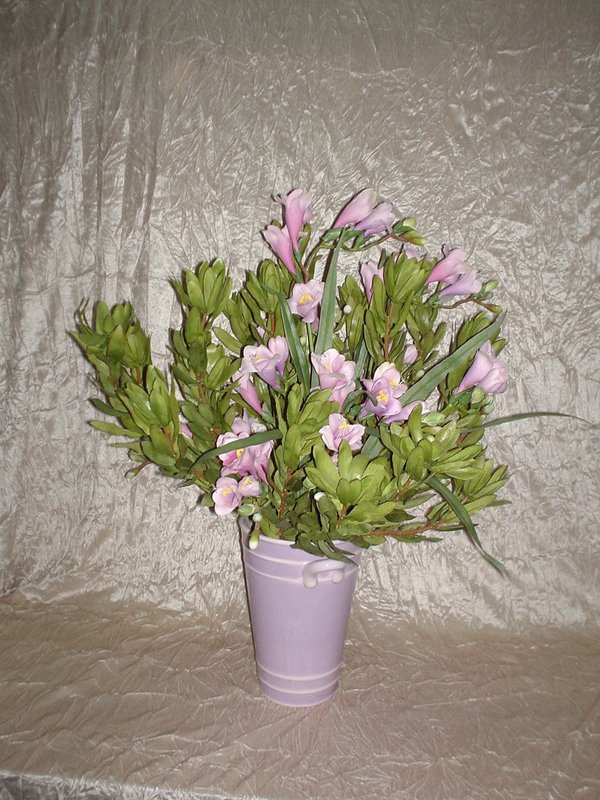 Leucadendron x 3 H 60 - Sconti per Fioristi e Aziende . - In poliester