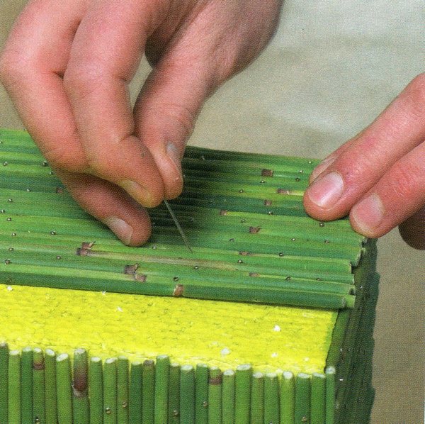 Fascio Snake Grass Naturale  - Sconti per Fioristi e Aziende - Lungo cm. 15 dm. 6