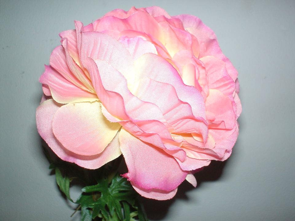 Camelia Japonica x 3 in poliester - Sconti per Fioristi e Aziende