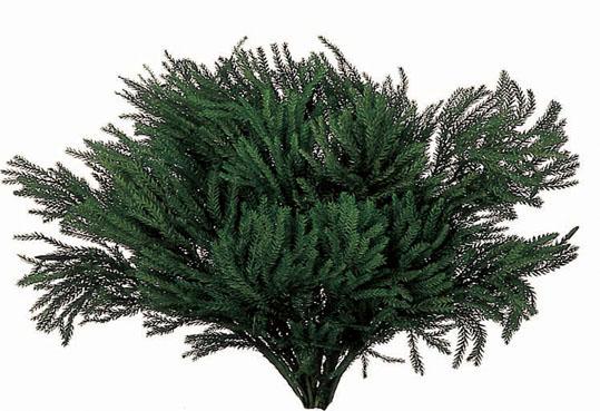 Licopodium Preservato da gr. 100 - Sconti per Fioristi e Aziende - Erika Moss Verde