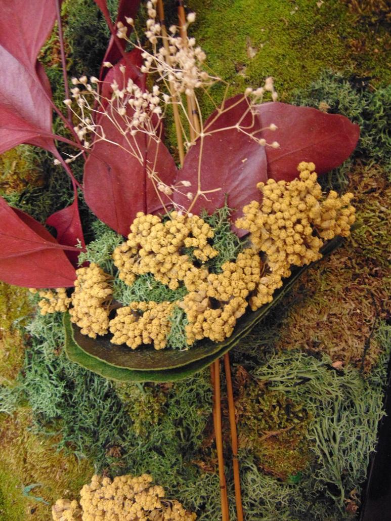 Quadro Vegetale Preservato Nido di Rondine - Sconti per Fioristi e Aziende . - cm. 80 x 34
