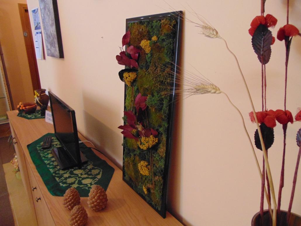 Quadro Vegetale Preservato Nido di Rondine - Sconti per Fioristi e Aziende . - cm. 80 x 34
