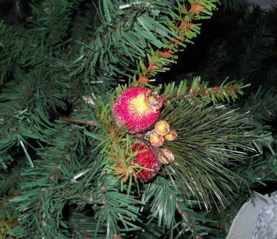 Pick frutta zuccherata  melograno e pera - Sconti per Fioristi e Aziende
