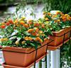 Balconetta color terracotta  - Sconti per Fioristi e Aziende - in plastica con riserva