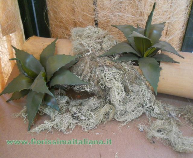 Muschio di Palude ( Swamp Moss ) Naturale preservato gr. 250 - Sconti per Fioristi e Aziende