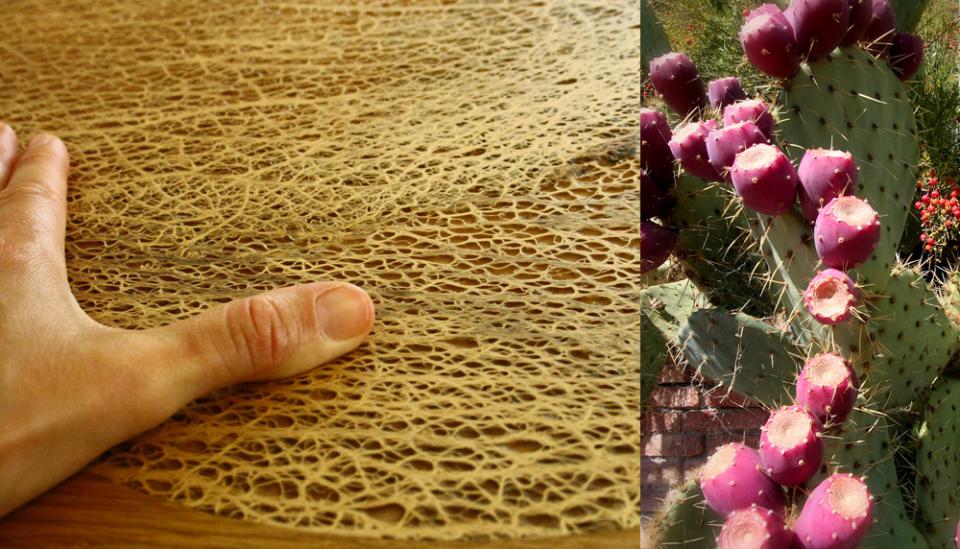 Fibra scheletrita di fico d'india naturale  250 gr. - Sconti per Fioristi e Aziende .