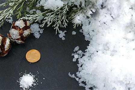 Neve Instantanea Conf. Kg. 1 - Sconti per Fioristi e Aziende - Artificiale
