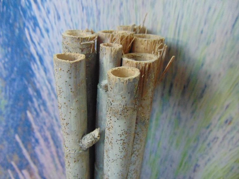 Canne bamboo bianche