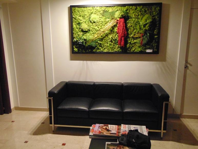 Quadro Vegetale Preservato Red Bridge   - Sconti per Fioristi e Aziende . - cm. 150 x 80