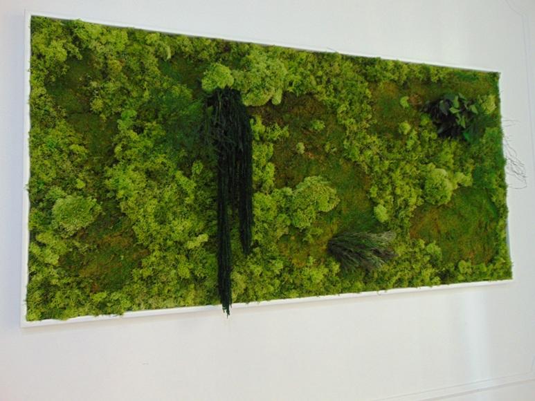 Quadro Vegetale Preservato" La Siepe " - Sconti per Fioristi e Aziende . - cm. 160 x 80  Con cornice