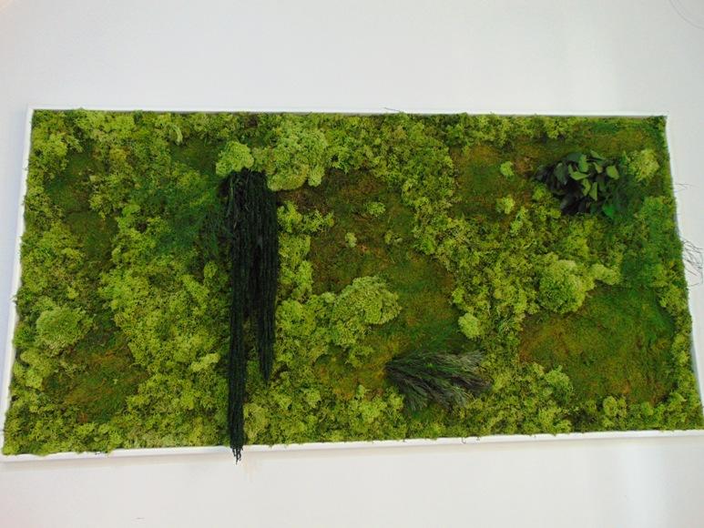Quadro Vegetale Preservato" La Siepe " - Sconti per Fioristi e Aziende . - cm. 160 x 80  Con cornice