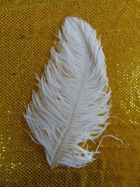 Cenfry 30Pcs piume di struzzo 16?457cm piume di for wedding centerpieces Home Decoration