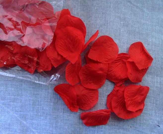 Reccisokz 100G - veri petali di rosa rossa essiccati pediluvio, bagno spa  matrimonio, fragranze per la casa accessori fai da te