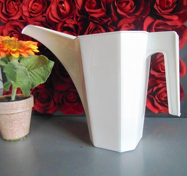 Annaffiatoio Plastica da Lt. 2  - Sconti per Fioristi e Aziende - con becco lungo