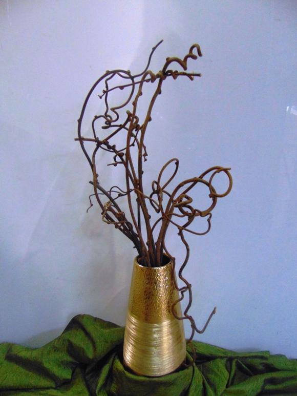 Kiwi Rami Contorti Naturali  - Sconti per Fioristi e Aziende - Mazzo H 100 x 10 rami