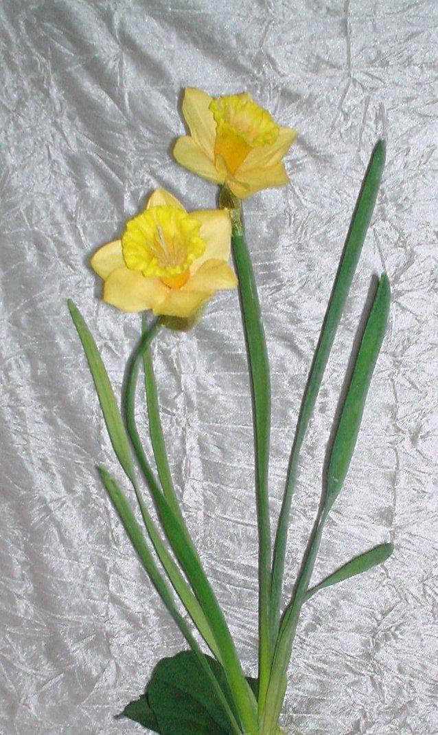Narciso Lusso H 50  - Sconti per Fioristi e Aziende . - in gomma