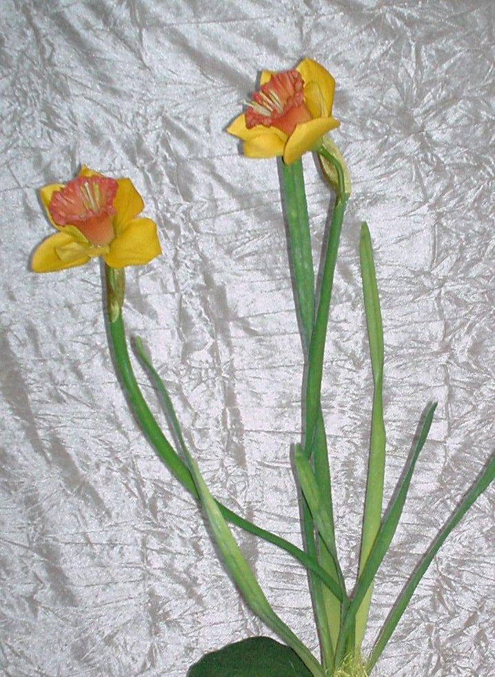 Narciso Lusso H 50  - Sconti per Fioristi e Aziende . - in gomma