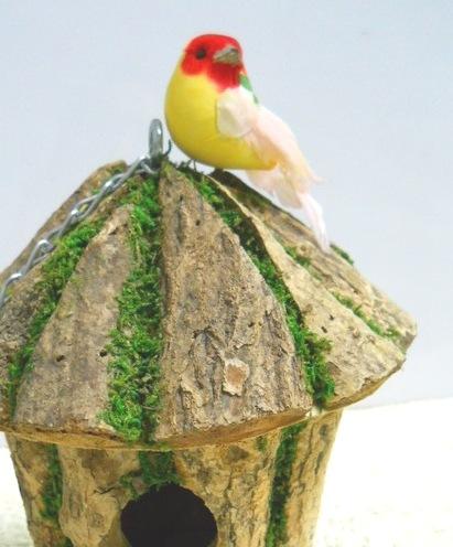 Canarini x 12 con piume naturali - Sconti per Fioristi e Aziende