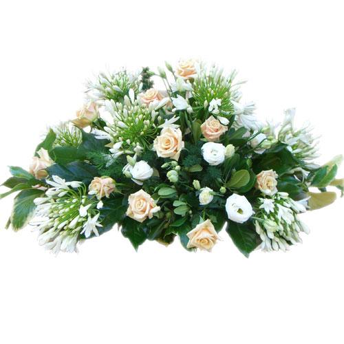 Gabbietta portaspugna cm. 40 x 10 H 8  senza spugna in plastica - Sconti per Fioristi e Aziende Plastec