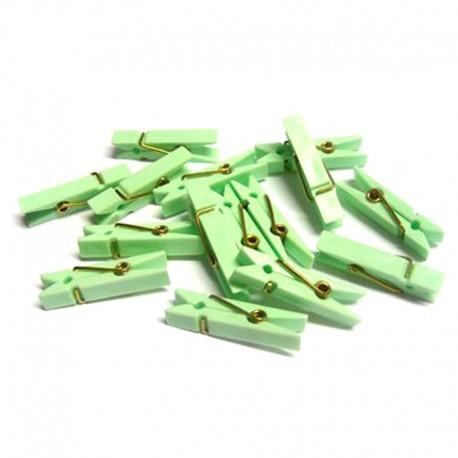 Mollette in Plastica mm. 37 X 6 conf. 24 pezzi - Sconti per Fioristi e Aziende