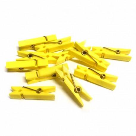 Mollette in Plastica mm. 37 X 6 conf. 24 pezzi - Sconti per Fioristi e Aziende