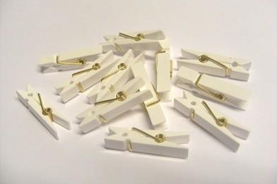 Mollette in Plastica mm. 37 X 6 conf. 24 pezzi - Sconti per Fioristi e Aziende