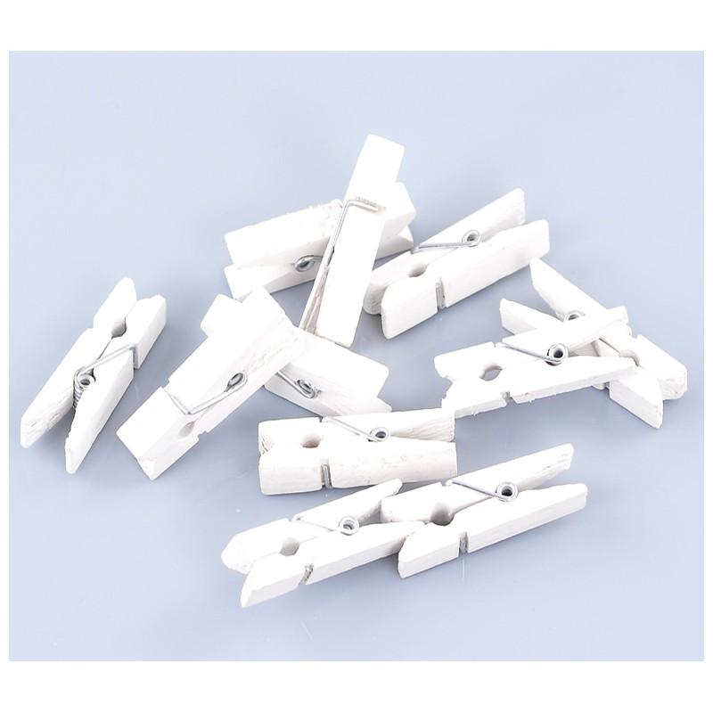 Mollette in Plastica mm. 37 X 6 conf. 24 pezzi - Sconti per Fioristi e Aziende