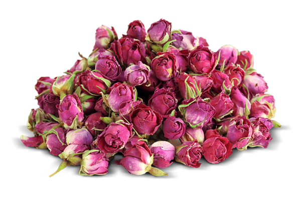 Teste di rosa stabilizzate naturali - Sconti per Fioristi e Aziende