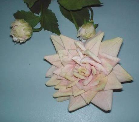 Dalia x 3 in Velluto H 80  - Sconti per Fioristi e Aziende . - Artificiale vellutata
