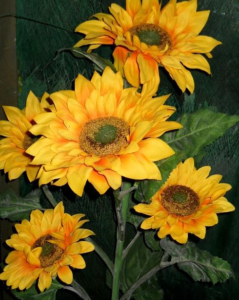 Girasole Artificiale x 5 H 160 Large Stem - Sconti per Fioristi e Aziende .