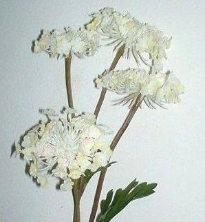 Queen Anne's Lace x 3  H 84 - Sconti per Fioristi e Aziende . - In poliester