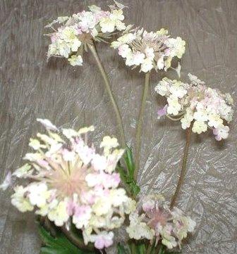 Queen Anne's Lace x 3  H 84 - Sconti per Fioristi e Aziende . - In poliester