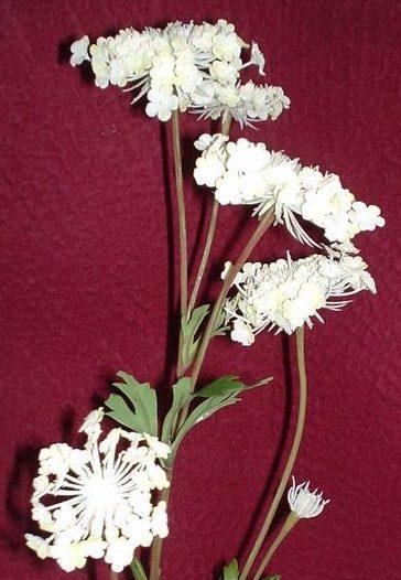 Queen Anne's Lace x 3  H 84 - Sconti per Fioristi e Aziende . - In poliester