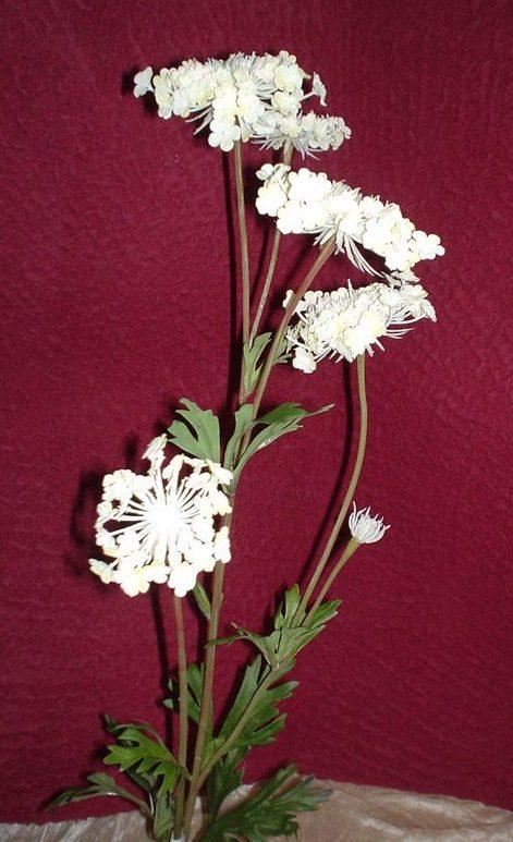 Queen Anne's Lace x 3  H 84 - Sconti per Fioristi e Aziende . - In poliester