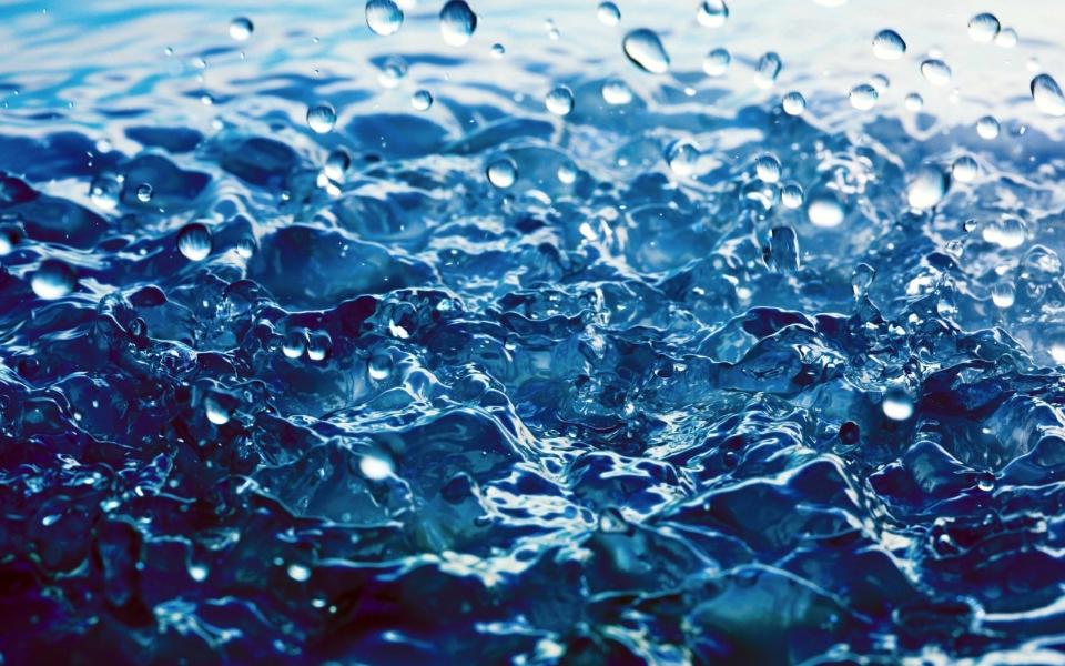 Colorante liquido per Acqua  - Sconti per Fioristi e Aziende . - Flacone 250 Ml.