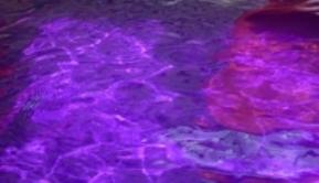 Colorante liquido per Acqua  - Sconti per Fioristi e Aziende . - Flacone 250 Ml.