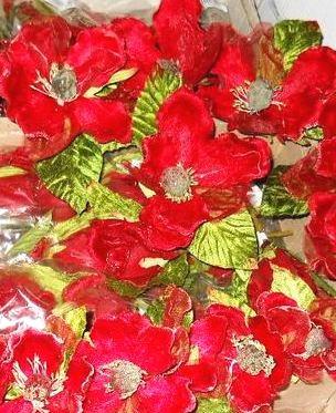 Magnolia Velluto Rosso  - Sconti per Fioristi e Aziende . - dm.15 e 25