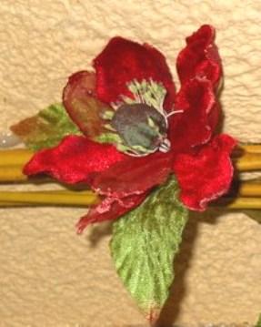 Magnolia Velluto Rosso  - Sconti per Fioristi e Aziende . - dm.15 e 25