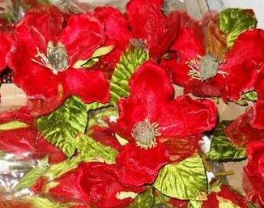 Magnolia Velluto Rosso  - Sconti per Fioristi e Aziende . - dm.15 e 25