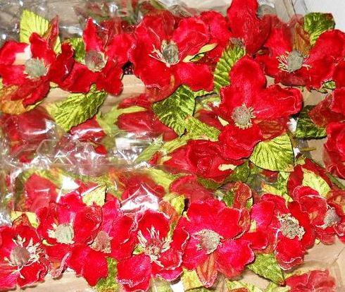 Magnolia Velluto Rosso  - Sconti per Fioristi e Aziende . - dm.15 e 25