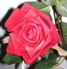 Rose Royal x 3 Velvet Artificiale in poliestere - Sconti per Fioristi e Aziende