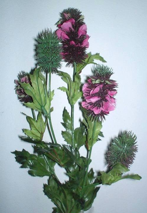 Banksia x 5 wild in Poliestere - Sconti per Fioristi e Aziende