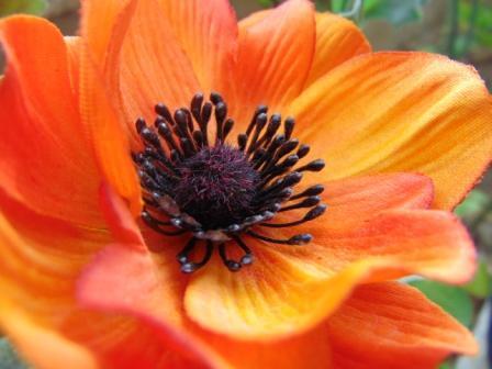 Anemone spray H 37 Artificiale in poliestere - Sconti per Fioristi e Aziende