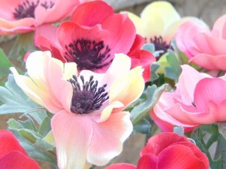 Anemone spray H 37 Artificiale in poliestere - Sconti per Fioristi e Aziende