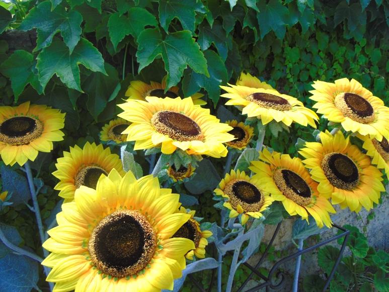 Girasole Artificiale x 3 H 95 - Sconti per Fioristi e Aziende . - stelo grosso