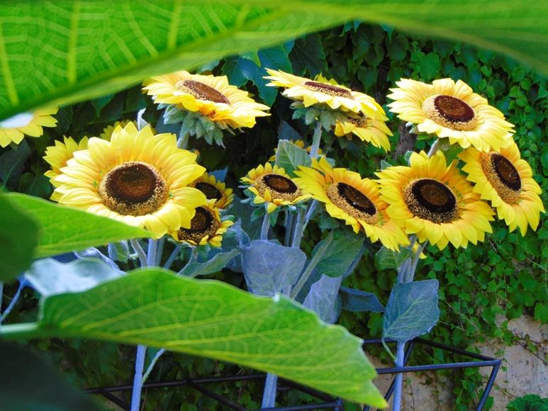 Girasole Artificiale x 3 H 95 - Sconti per Fioristi e Aziende - stelo grosso