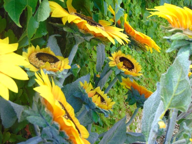 Girasole Artificiale x 3 H 95 - Sconti per Fioristi e Aziende . - stelo grosso